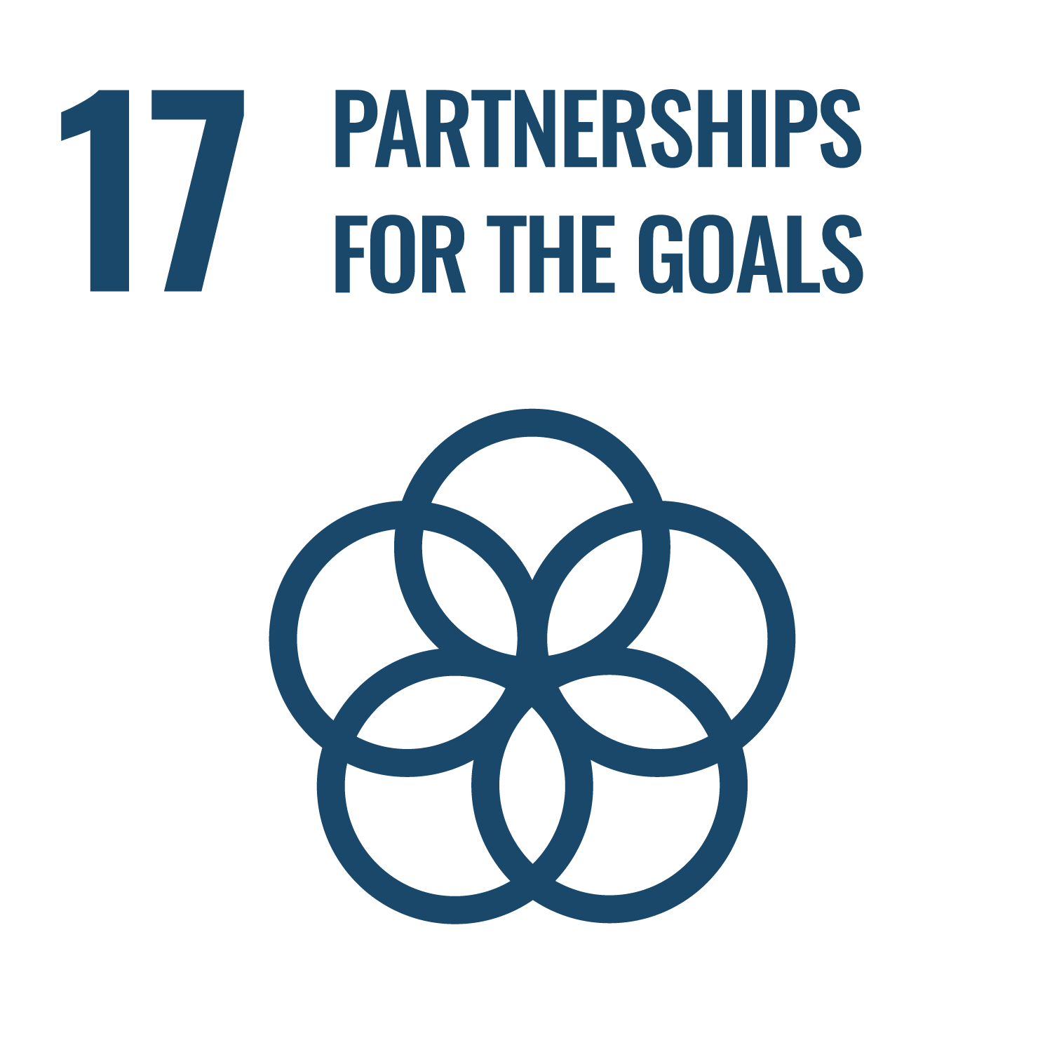 SDG 17: Partnerships